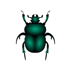 Beetle vector illustration isolated on a white background