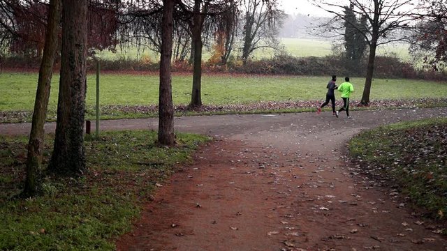 Jogging nel parco
