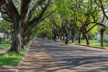 Green alley in the tropical village