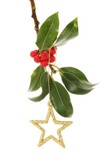 Gold star in Holly