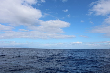 Obraz premium Black beach view