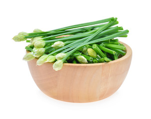 Chinese chives isolated on white background