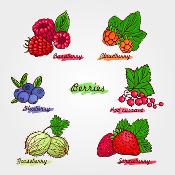 Set of ripe and cute hand drawn berries. Beautiful vector illust