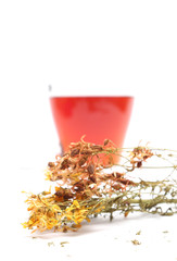 St. John's wort tea on white background