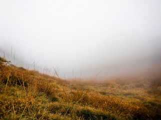 Obraz na płótnie Canvas Autumnal gorgeous landscape and fog