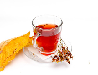 St. John's wort tea on white background