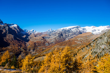 Fototapeta premium Gorgeous autumnal and colorful mountainscape with blue sky