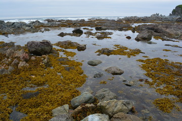 морское дно