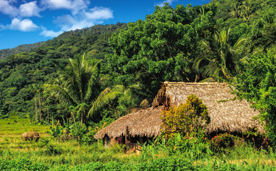 Farm house in rural Philippines