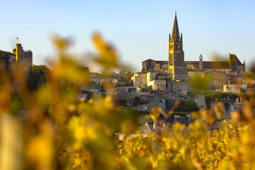 Saint Emilion, Vineyard Sunrise, Bordeaux Wine, France