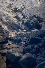 infrared landscape