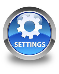 Settings glossy blue round button