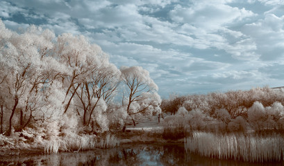 infrared landscape