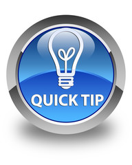 Quick tip (bulb icon) glossy blue round button