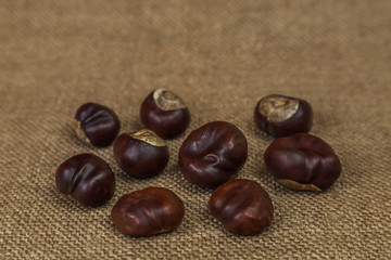 Chestnuts on a brown background