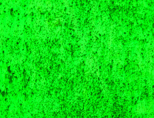 Obraz premium green wall texture