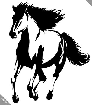 black and white linear paint draw horse vector illustration