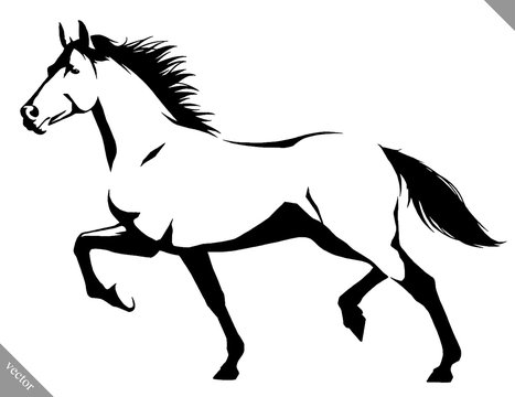 black and white linear paint draw horse vector illustration