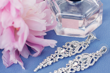 Beautiful set of women's wedding accessories