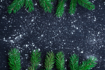 Christmas tree branches on winter snowbound black space backgrou
