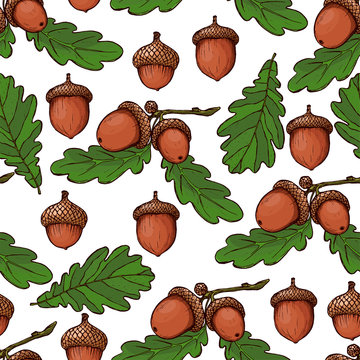 Cute seamless pattern made of hand drawn acorns and oak leaves.