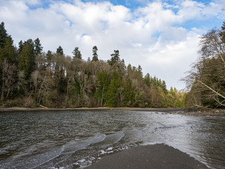 Budd Inlet Puget Sound