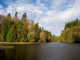 Budd Inlet Puget Sound
