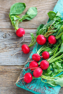 Ripe red radish with green leaves.