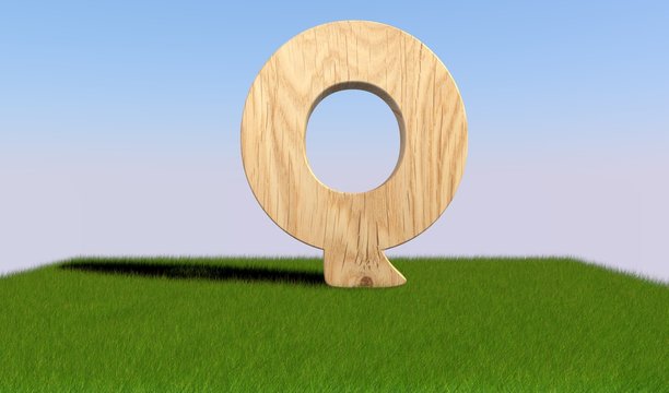3D decorative wooden Alphabet on green Grass, capital letter Q