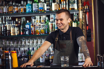 Beautiful stylish bartender