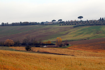 Fototapeta premium val d'orcia