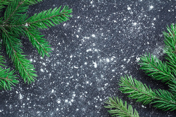 Green Christmas tree branches on winter snowbound black space ba