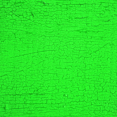 abstract green vintage wall background