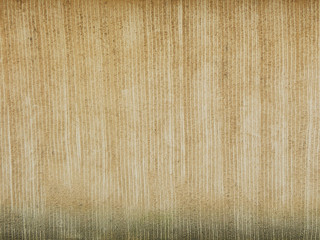 Fototapeta premium Rough wall texture