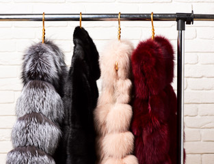 fashionable fur on hangers