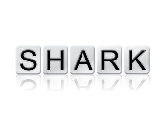 Shark Isolated Tiled Letters Concept and Theme
