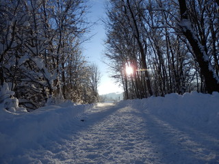 Morgens an der winterlichen Iller