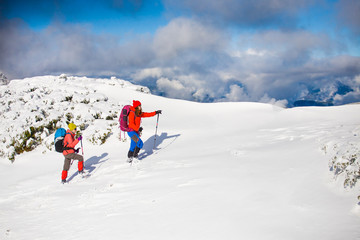 Climbers are on snow.