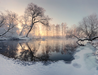 Obrazy na Szkle  Zimowe słońce oświetla rano mroźne drzewa