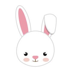 cute little rabbit animal character vector illustration design