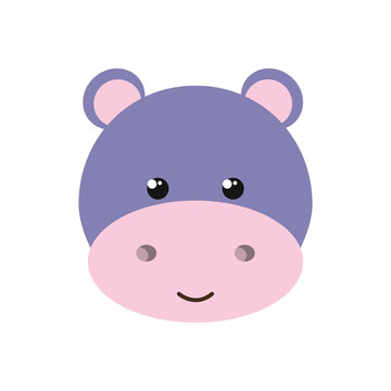 cute little hippo animal character vector illustration design
