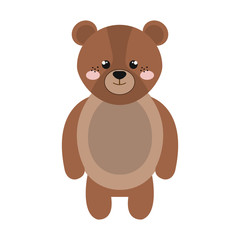 cute little bear animal character vector illustration design