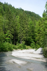 Fototapeta na wymiar Giessenbach Creek close to its canyon in Bavaria, Germany