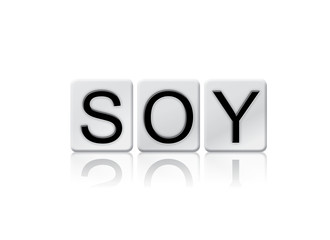 Soy Isolated Tiled Letters Concept and Theme