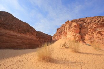Canyon in the desert in Egypt
