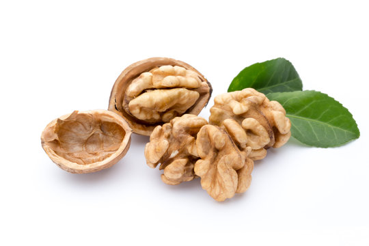 Walnut and walnut kernel isolated on the white background.