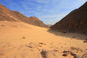 Canyon in the desert in Egypt