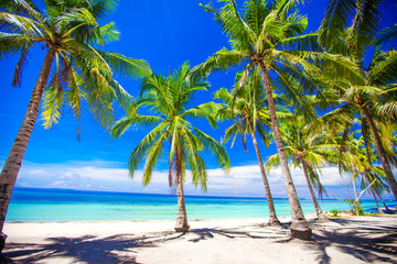 Beautiful tropical beach with palm trees, white sand, turquoise ocean water and blue sky