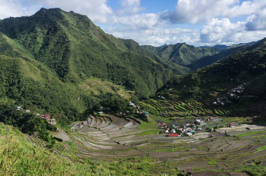 Rizi&egrave;res en terrasse de Batad, Banaue, Lu&ccedil;on, Philippines