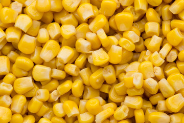 Bulk of yellow corn grains texture.